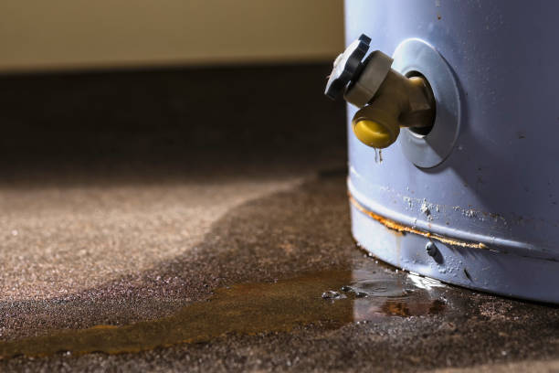 Best Flood restoration services  in Adel, GA