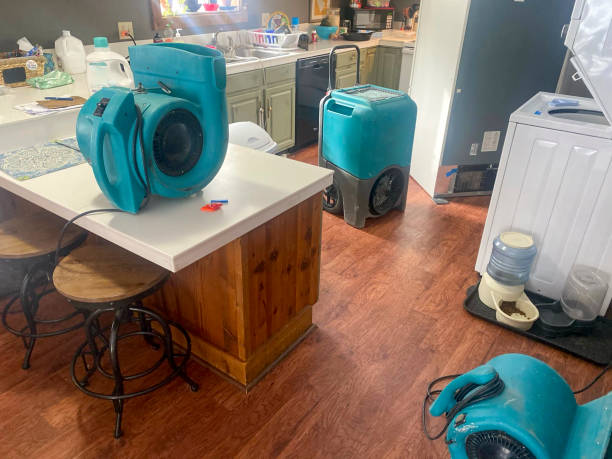 Best Water damage restoration experts  in Adel, GA