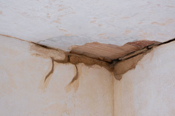 Best Flood damage cleanup  in Adel, GA