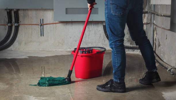 Best Water damage cleanup near me  in Adel, GA