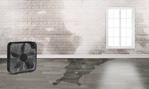 Adel, GA Water damage restoration Company