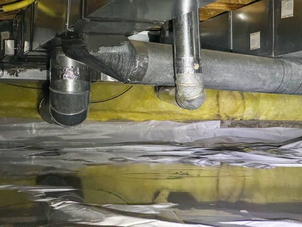 Best Water damage contractors near me  in Adel, GA