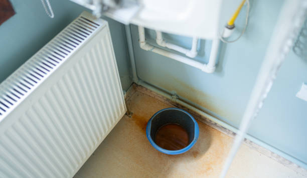 Best Water damage restoration near me  in Adel, GA