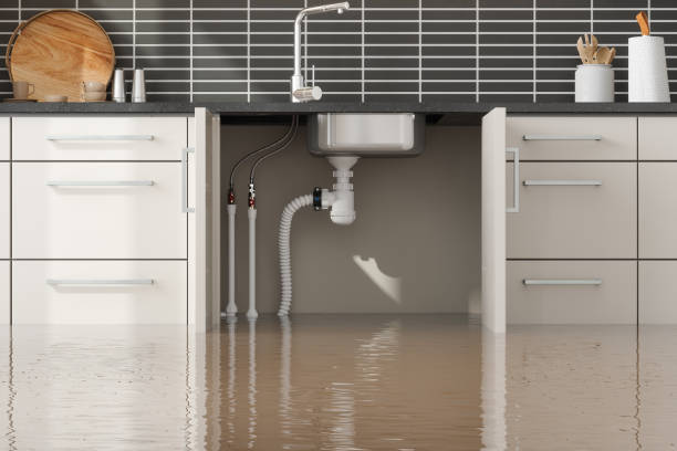 Best Flooded house restoration  in Adel, GA