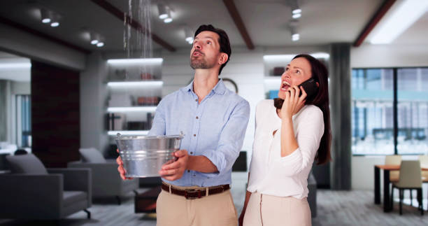 Best Flooded house restoration  in Adel, GA