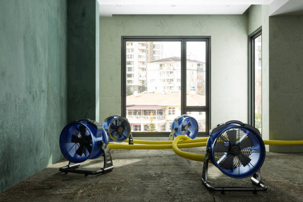 Best Water damage contractors near me  in Adel, GA